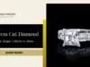 Princess Cut Diamond